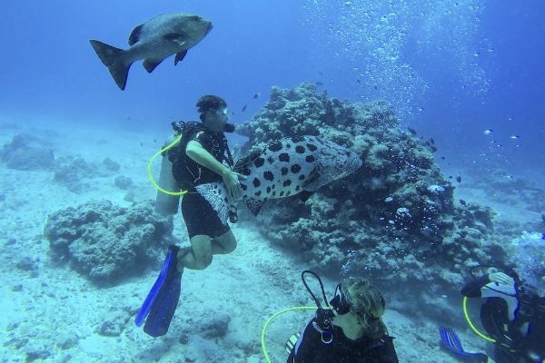 Lizard Island Resort - All Inclusive Lizard Island